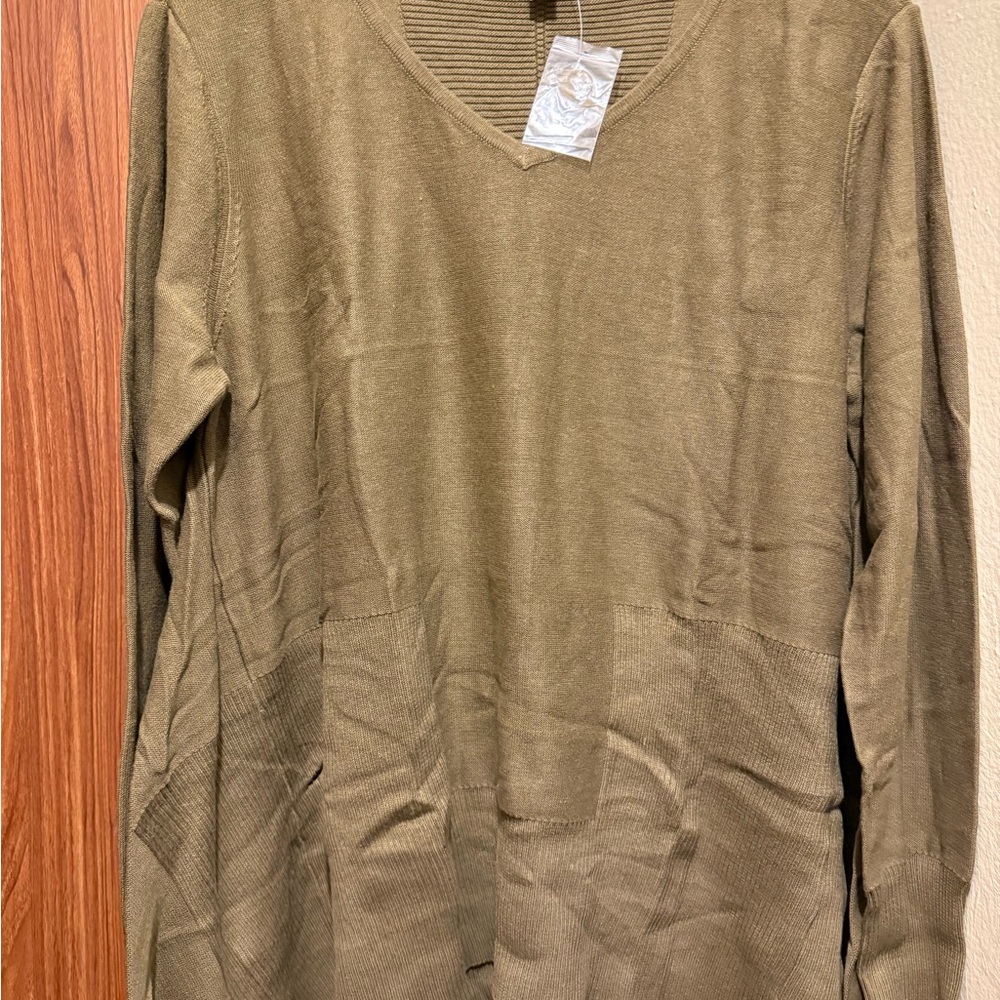 Joan Rivers Men's V-Neck Sweater in Olive